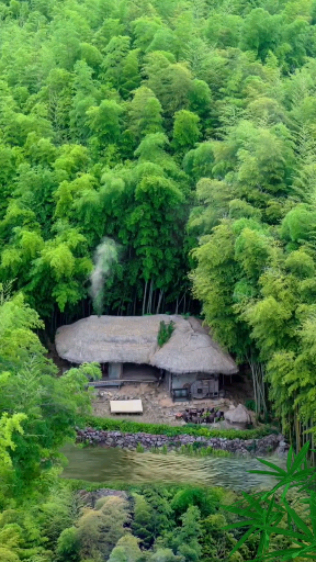 田园生活#竹林草屋为家,远离尘世繁华,忙时修篱种花,闲时小酒清茶!