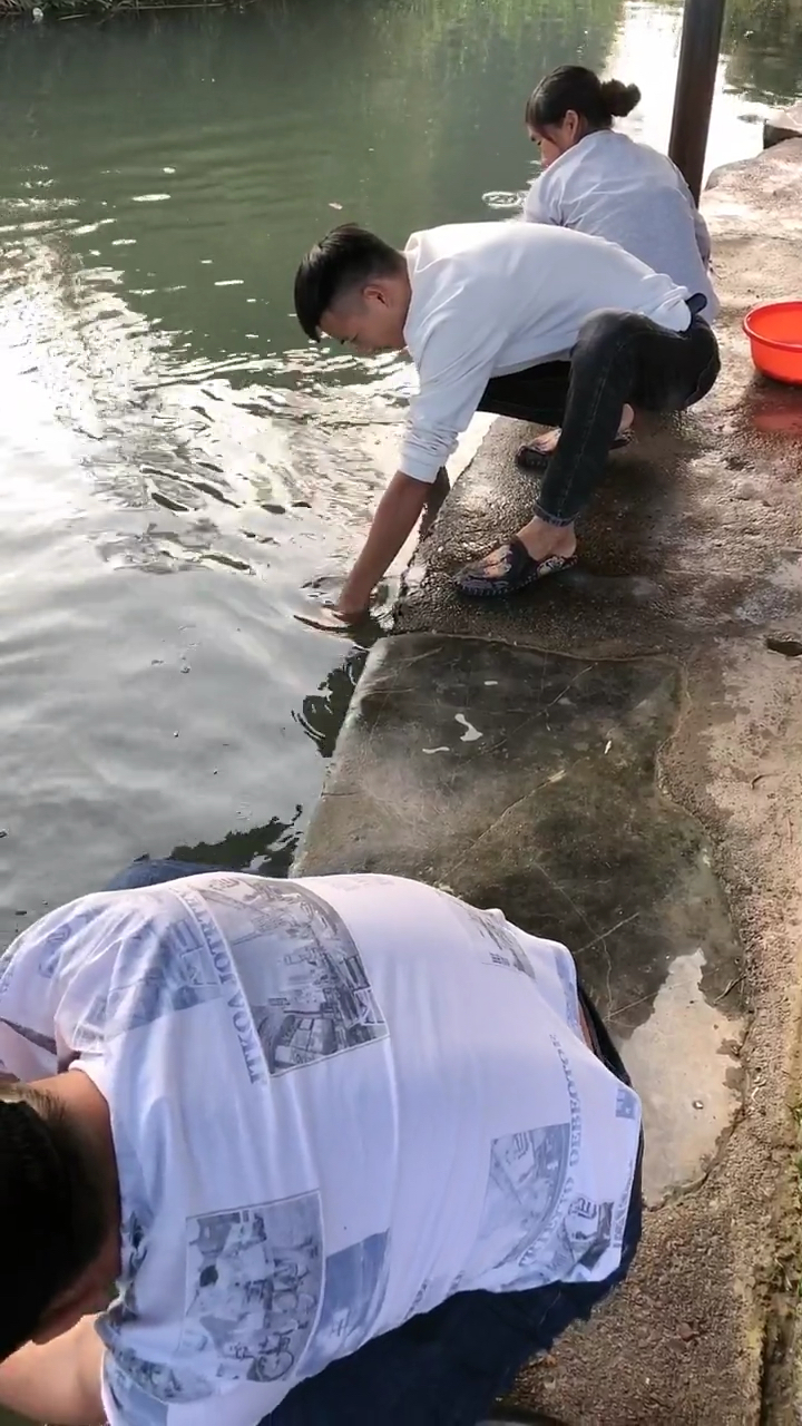 听说这种抓鱼方法不是人人都能抓到鱼的,你觉得你能抓到吗?