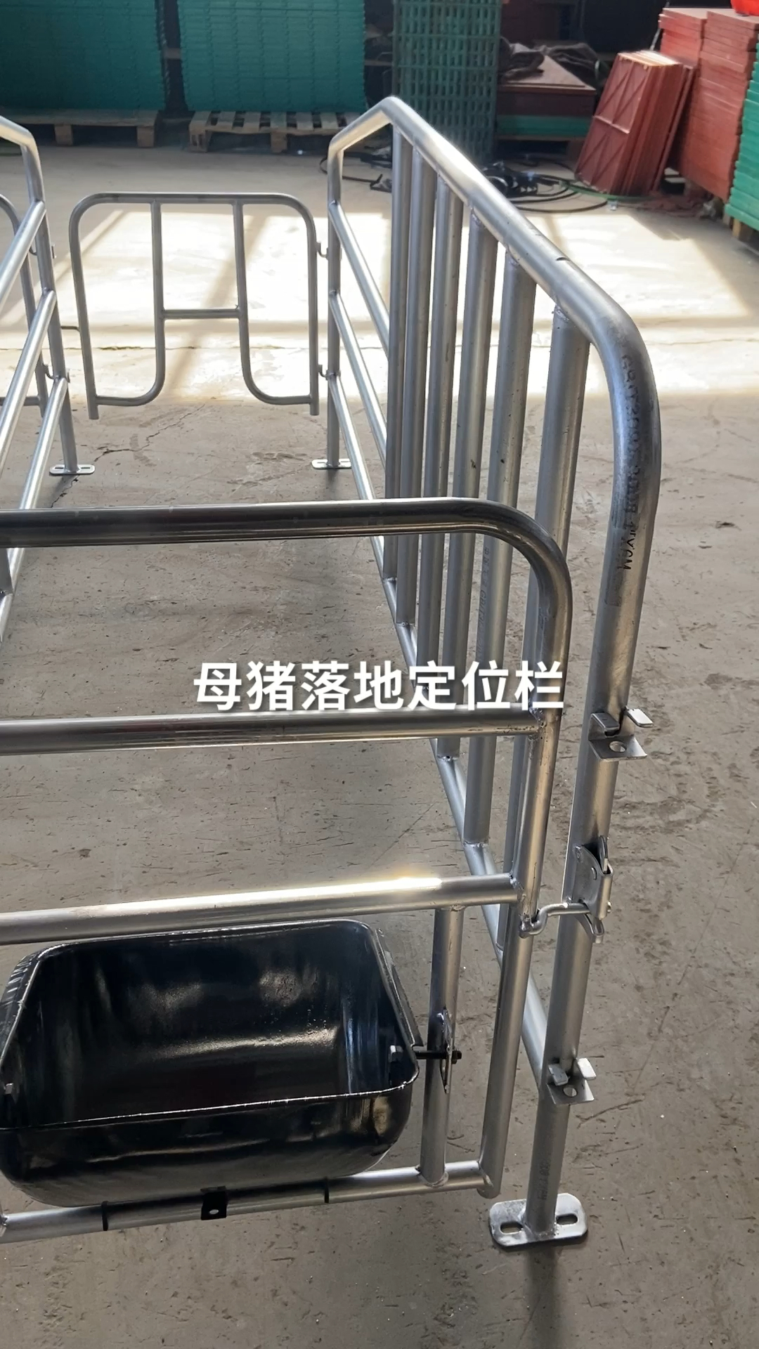 落地母猪定位栏