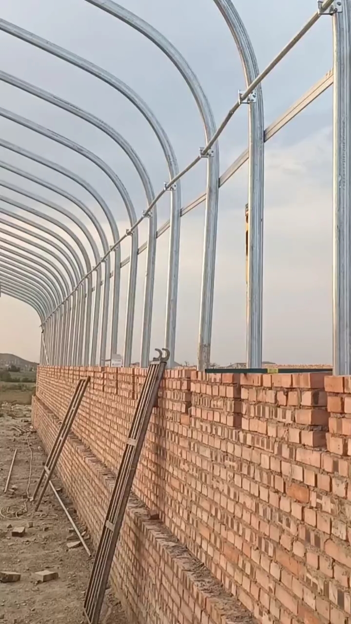 天津温室大棚～赵国#24墙体,水泥浇灌养殖棚