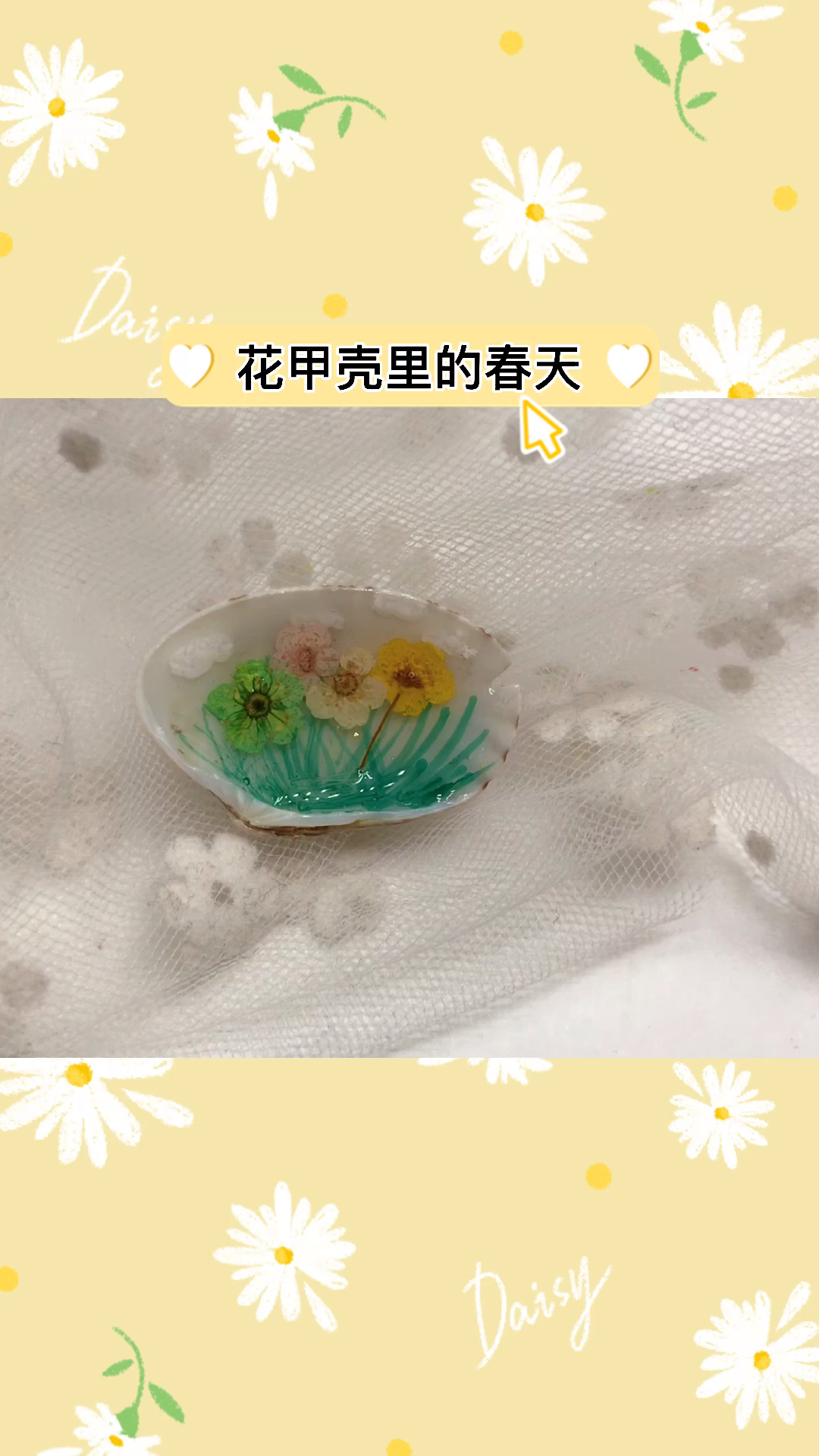 手工制作吃完的花甲壳不要扔一起制作花甲壳里的春天