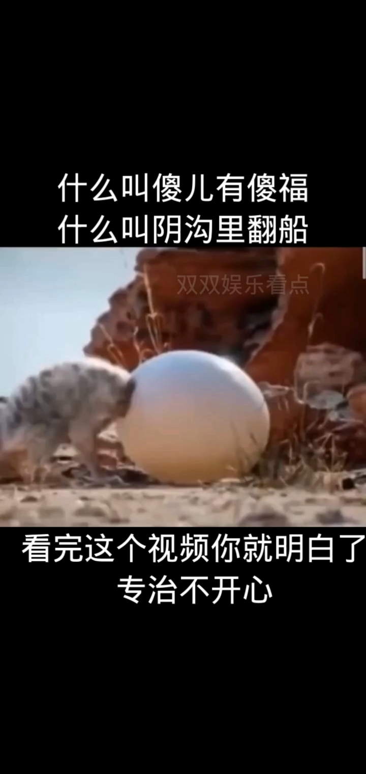 搞笑段子剧什么叫傻儿有傻福什么叫阴沟里翻船