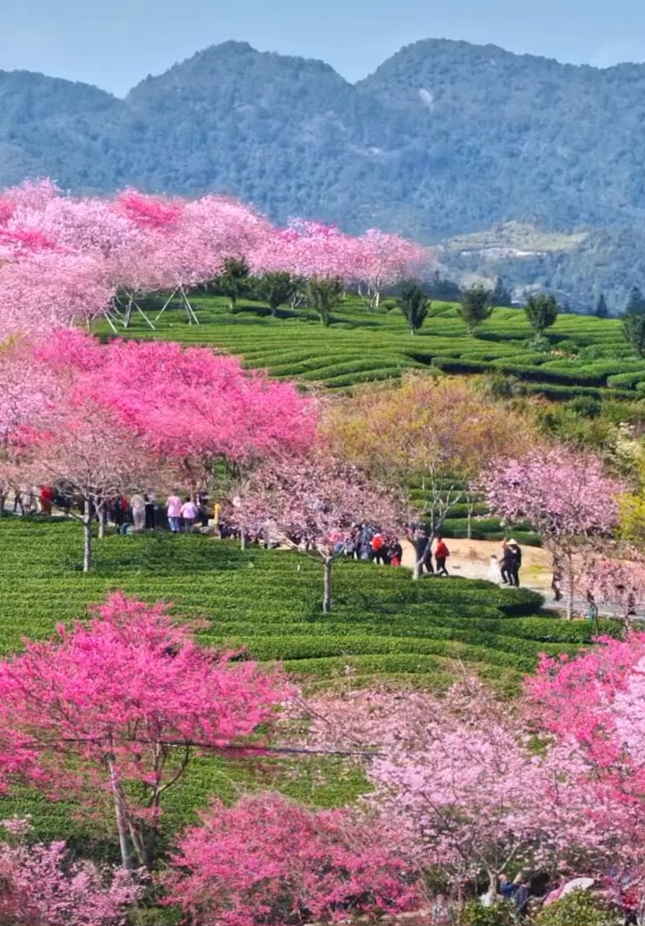 福建省厦门市旅游景点网红景区打卡