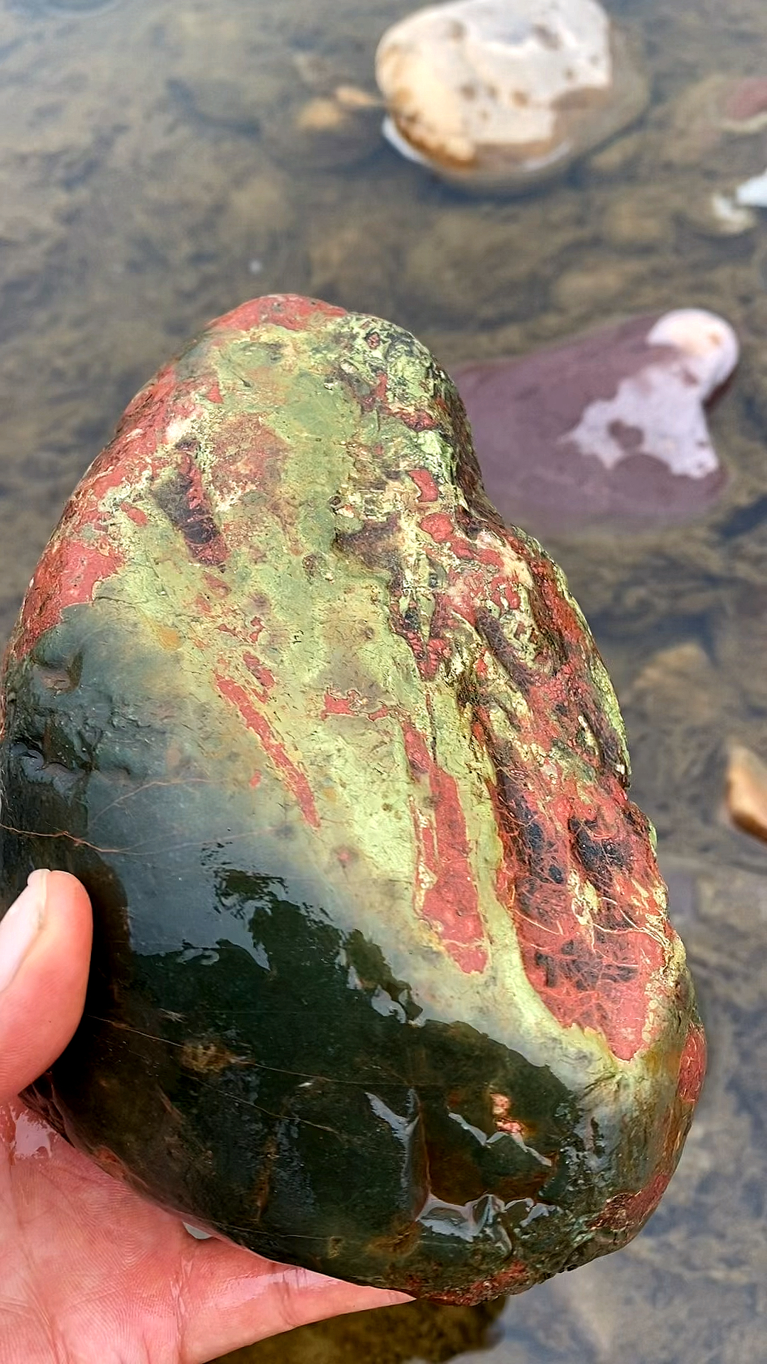 捡石头河里捡到一块这样颜色的石头