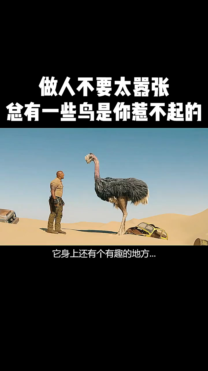 做人不要太嚣张总有一些鸟是不好惹的