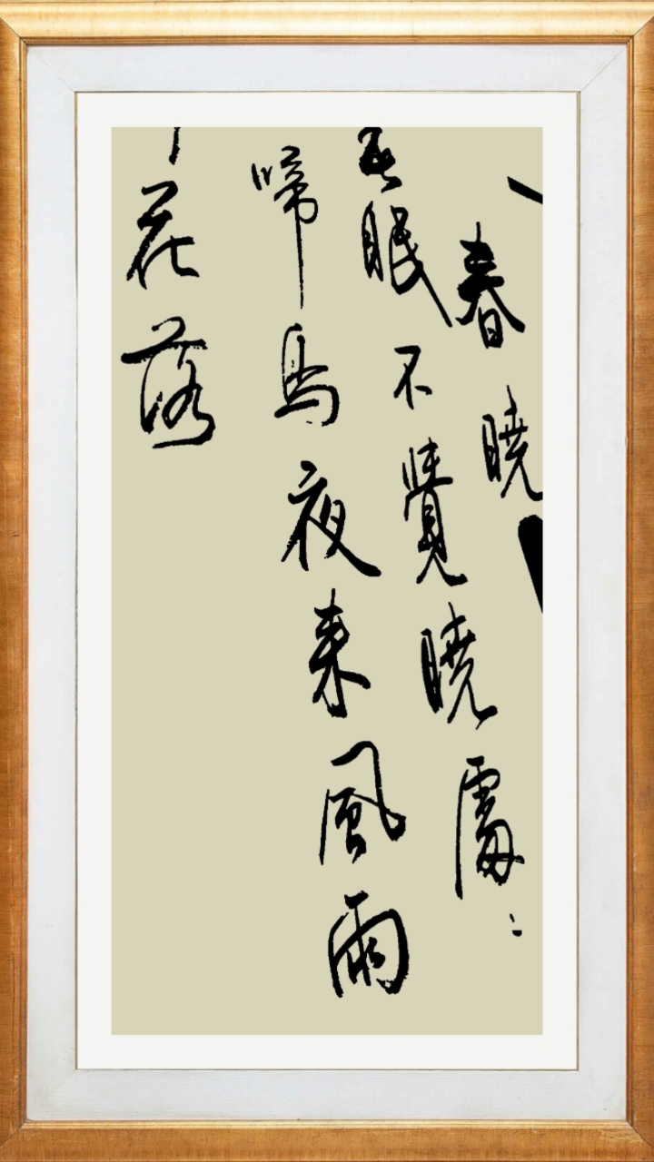 夜来风雨声,花落知多少?是风景还是禅理?