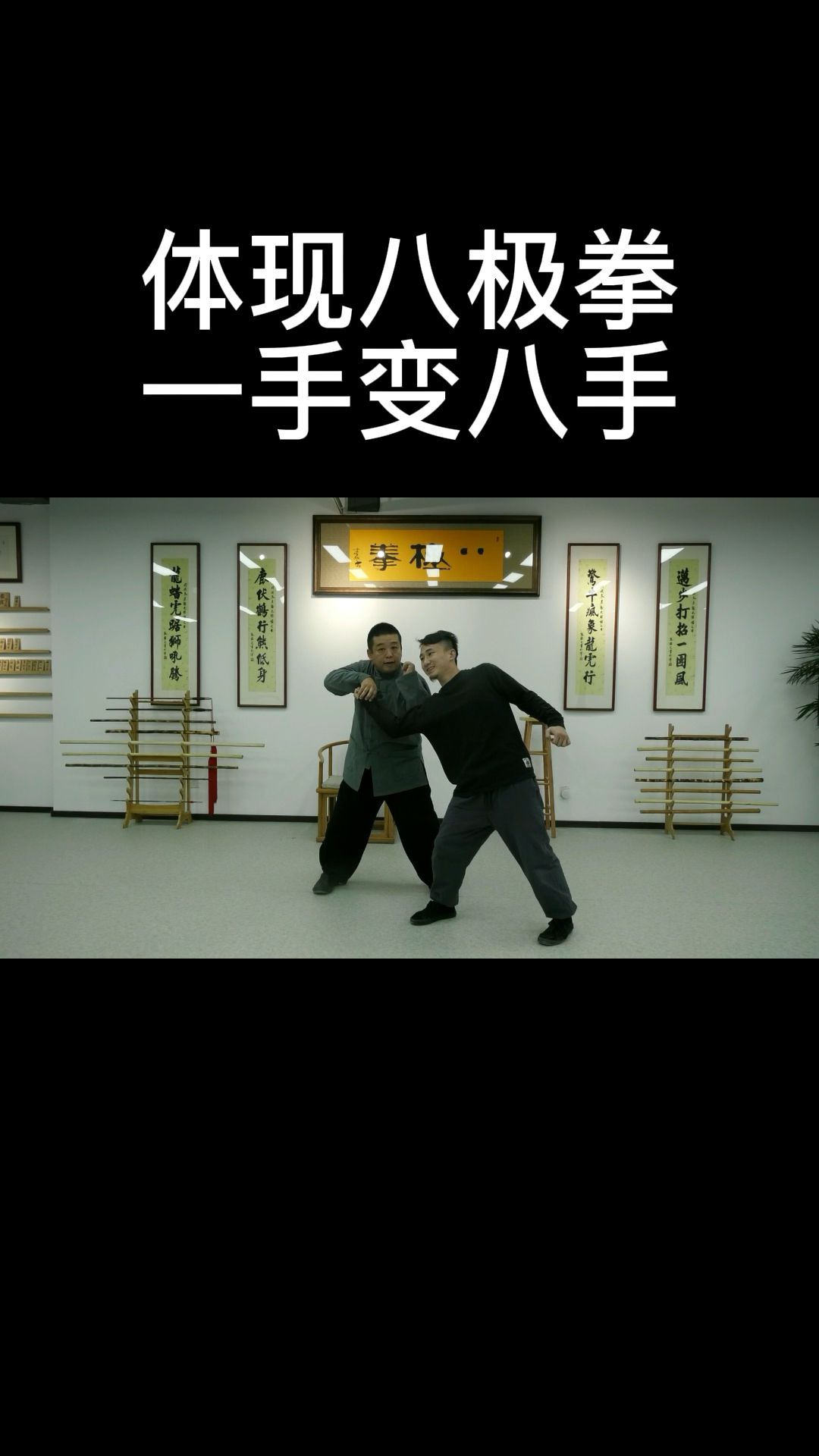 八极拳一手变八手八极拳胡玉涛