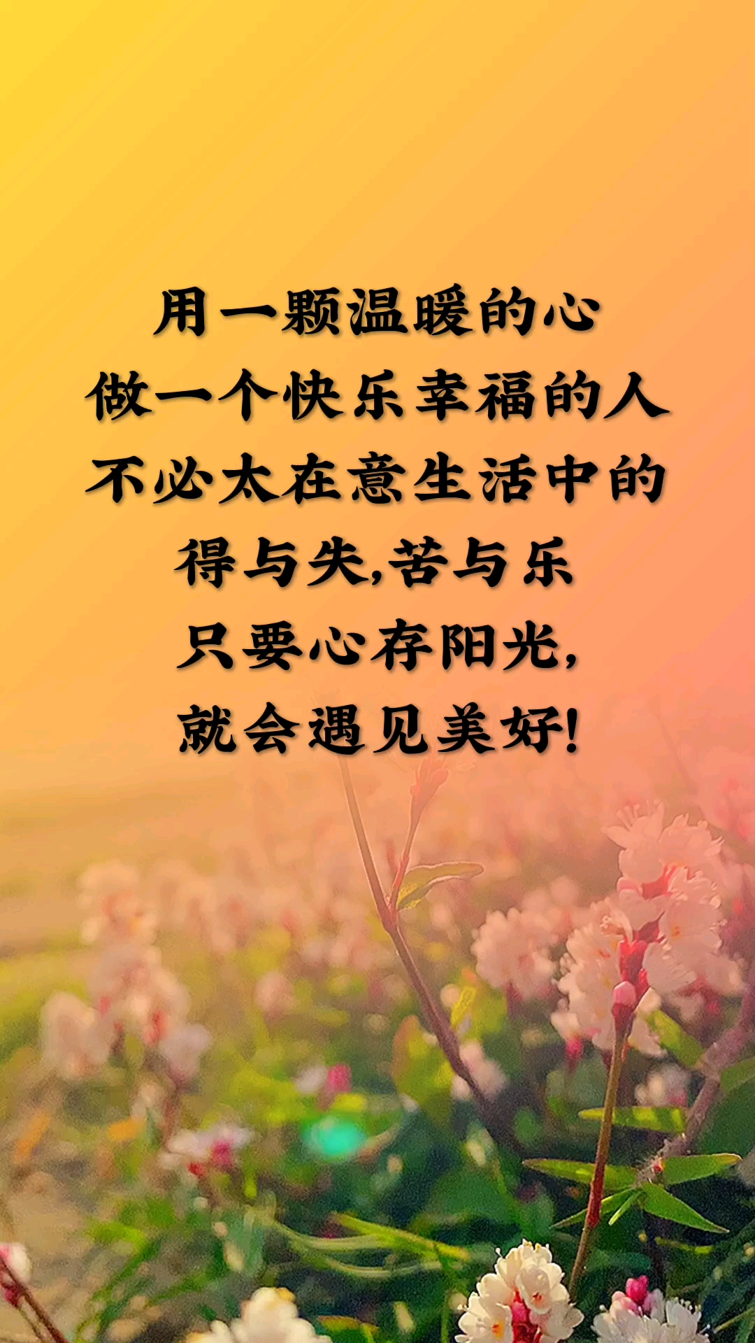 只要心存阳光,就会遇见美好!