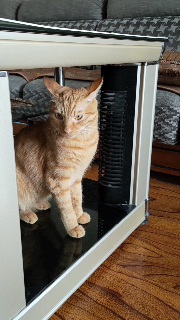 丫蛋躲的远远的,铁蛋这眼神啥意思?是无奈还是鄙视