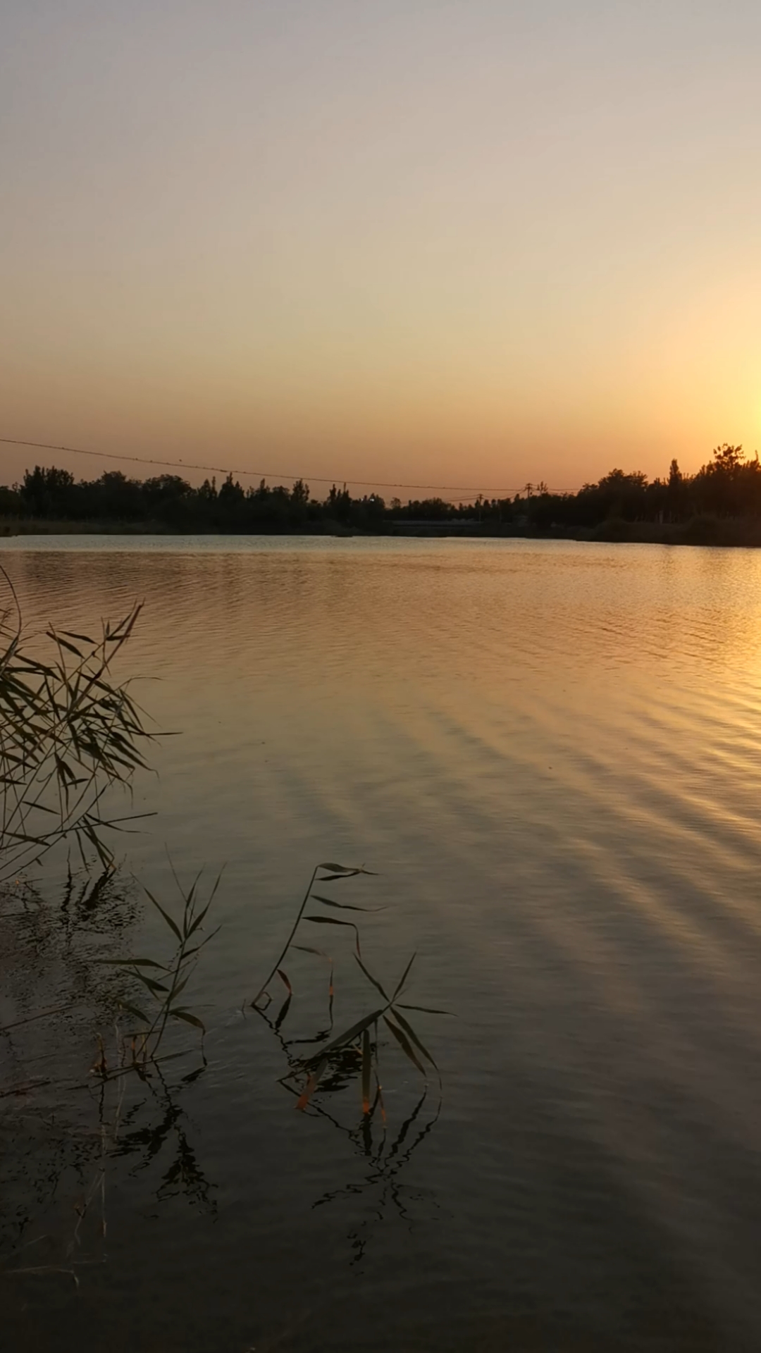 傍晚来小河边散步,顺便带回这夕阳小河美景