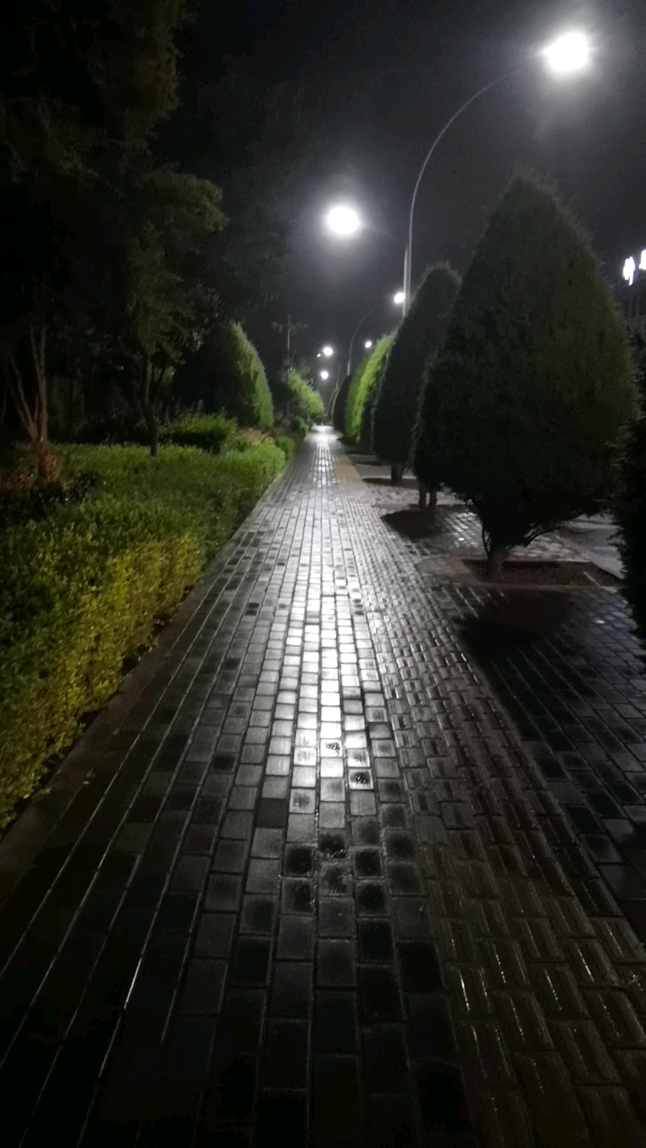 下雨的晚上