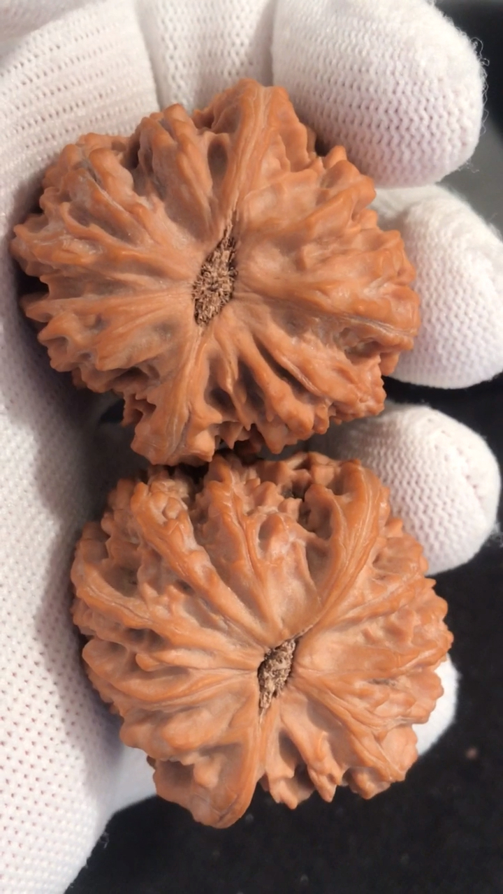 文玩核桃#野生邢台元宝