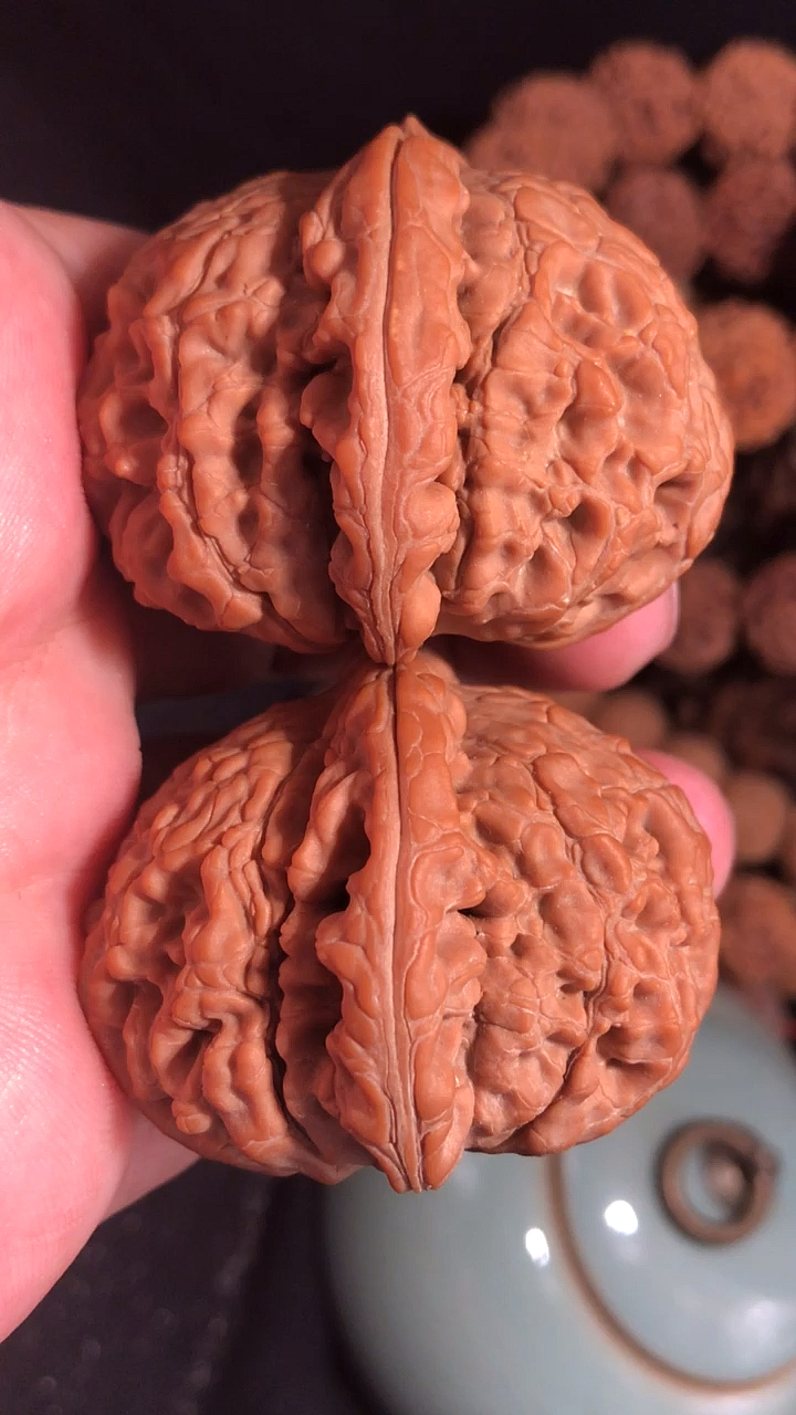 文玩核桃#48的矮桩圆肚水龙纹