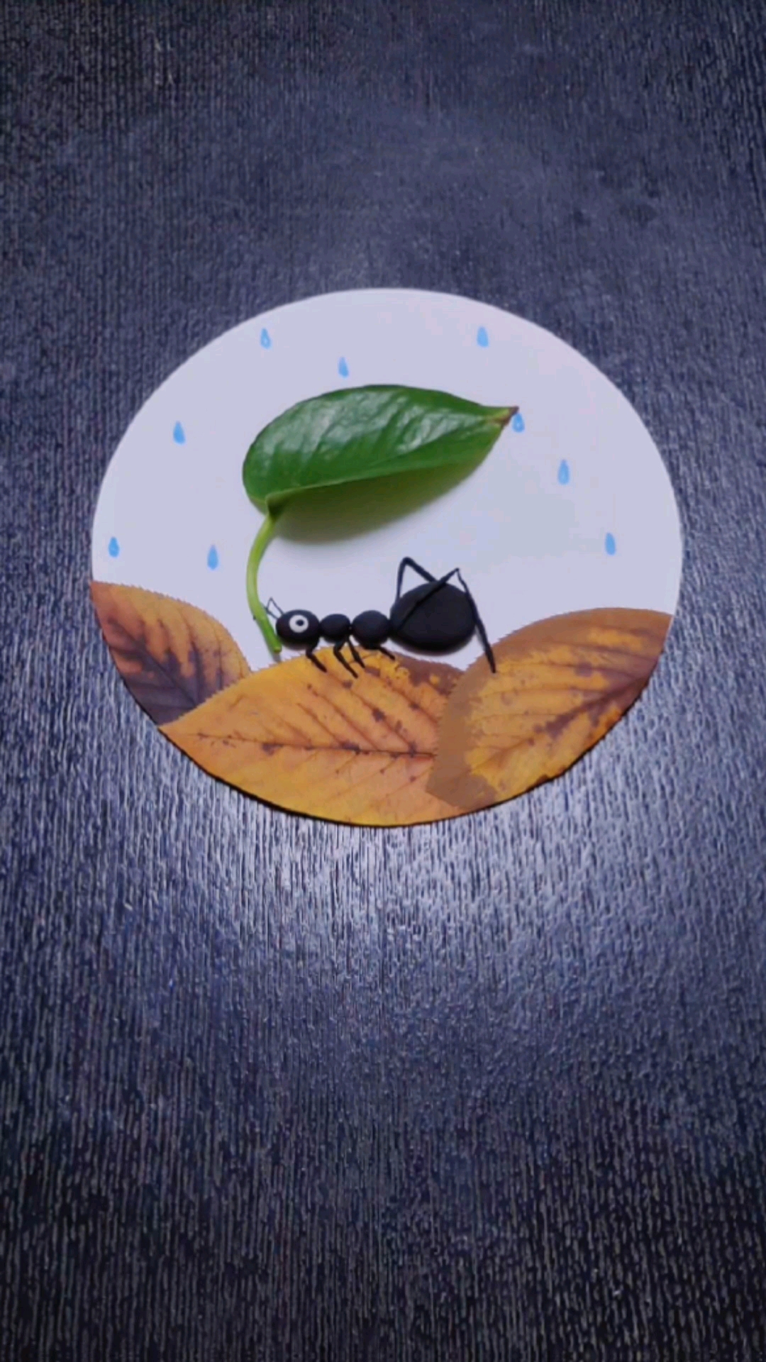 小蚂蚁避雨简谱图片