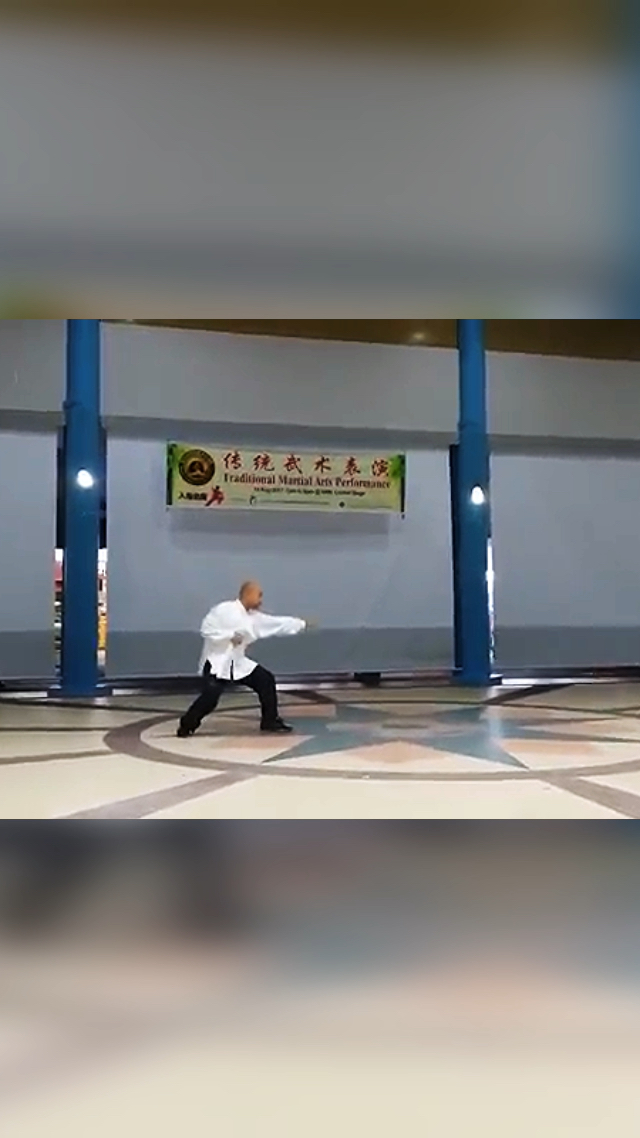形意拳武术名家苏自芳之子赵云老师演练的形意拳