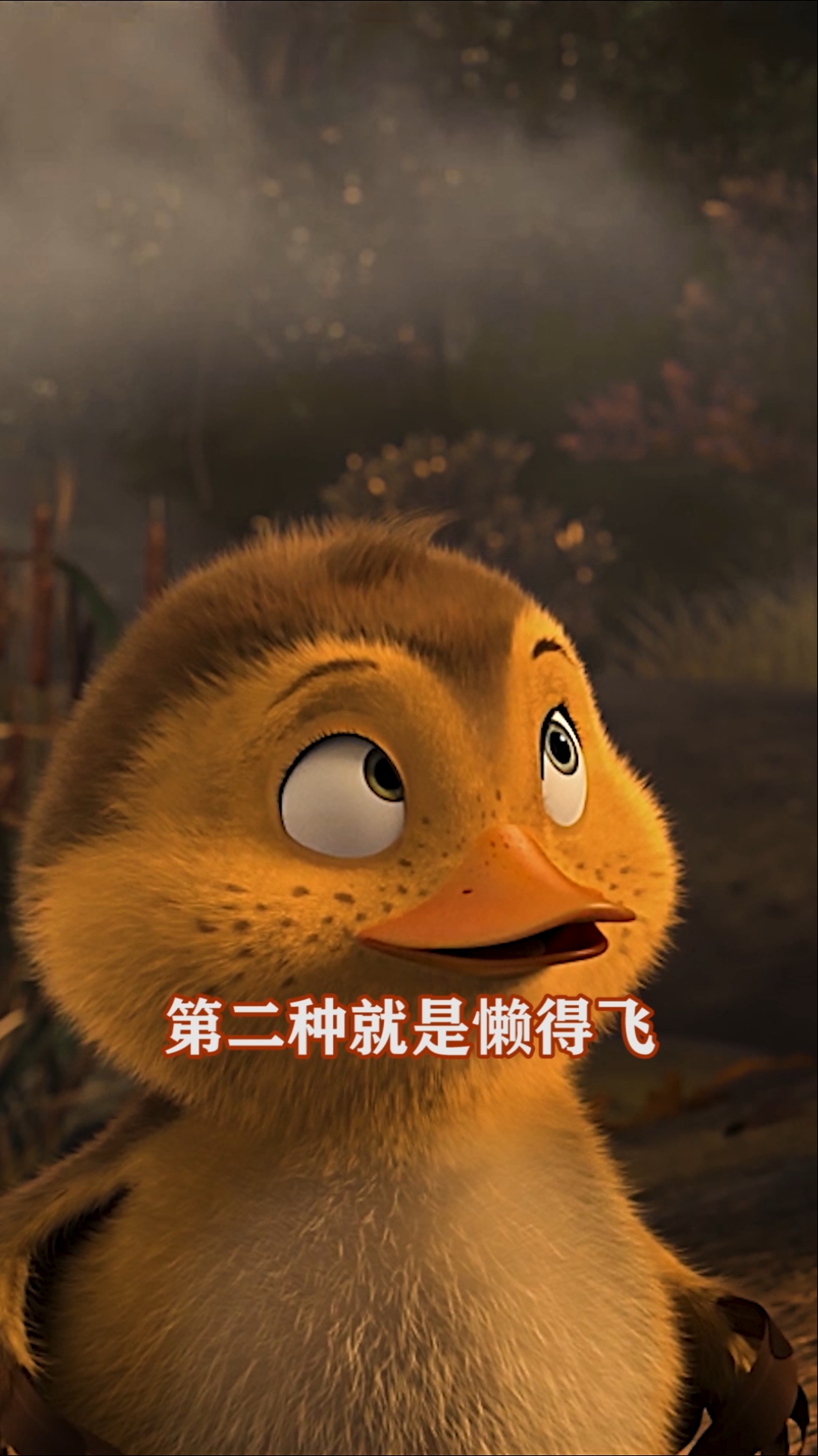 搞笑萌娃#笨鸟先飞,谁承认谁尴尬