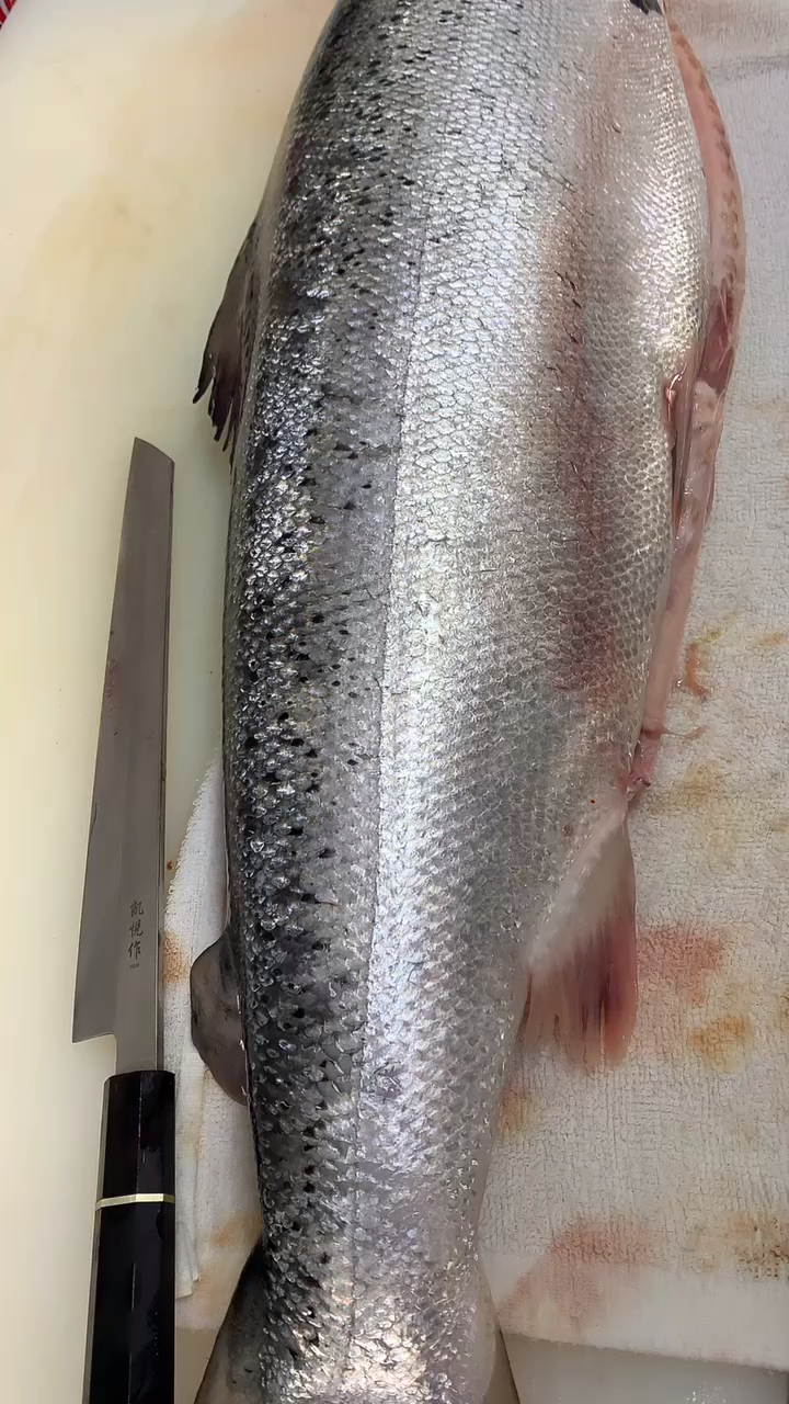 三文鱼三文鱼去鱼鳞大家看看这个手法怎么样