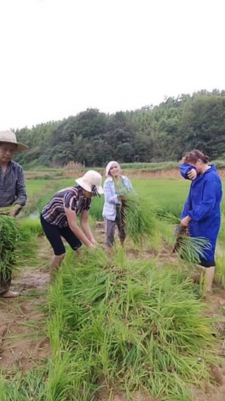 姐弟四个都没有文化,都在农村种地.我们很开心.