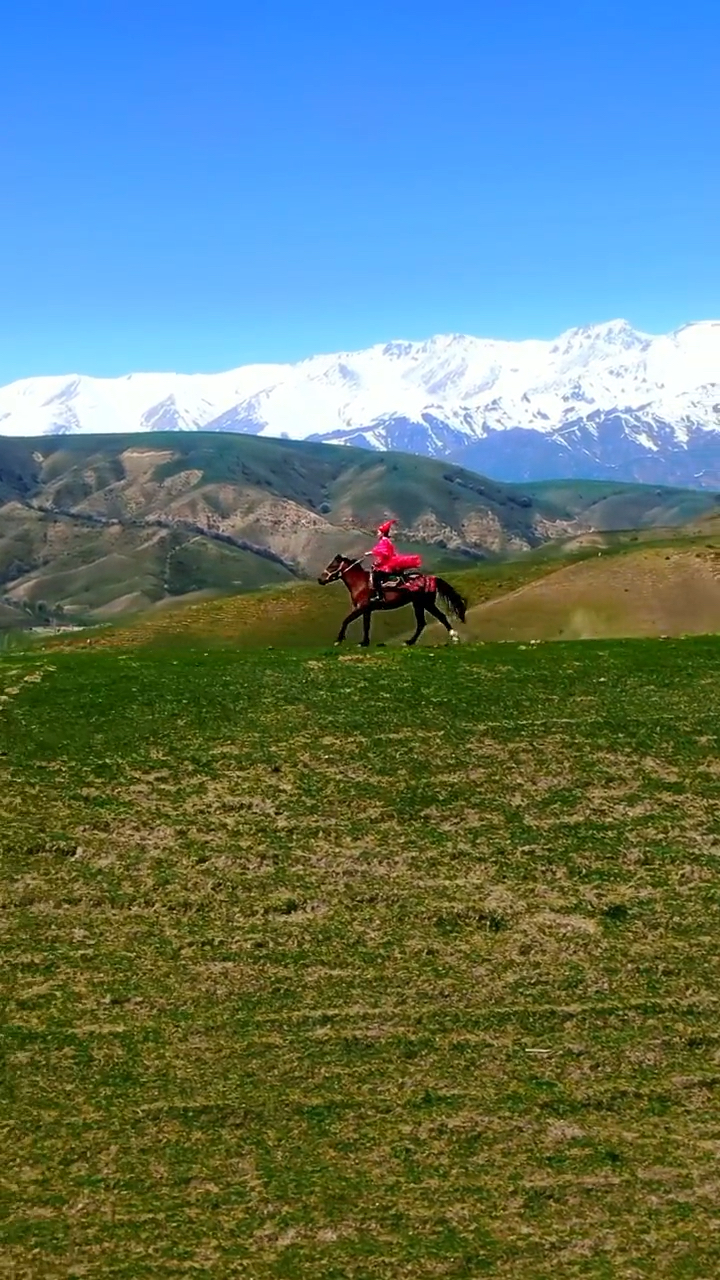 最美风景#难道你就不想体验一下策马狂奔的感觉?