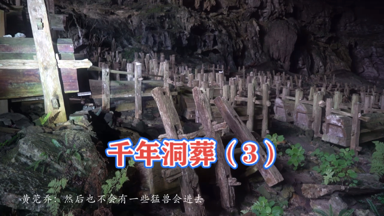 大探险家杨航#千年洞葬之路遇小镇学校诡事(3)-大探险家杨航第五季