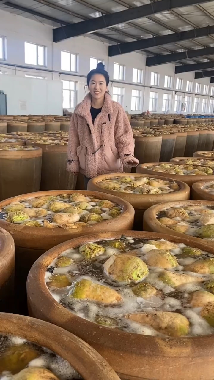今年的咸菜特别好,个头也大,每个缸都起白沫了,只有传统腌制的咸菜