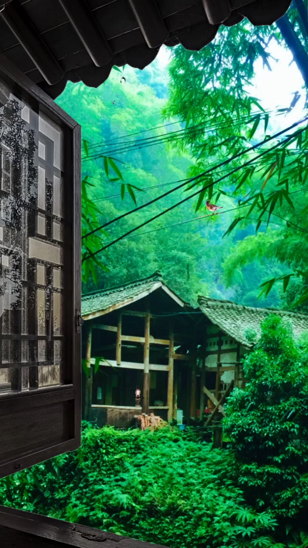 竹林深处有人家!