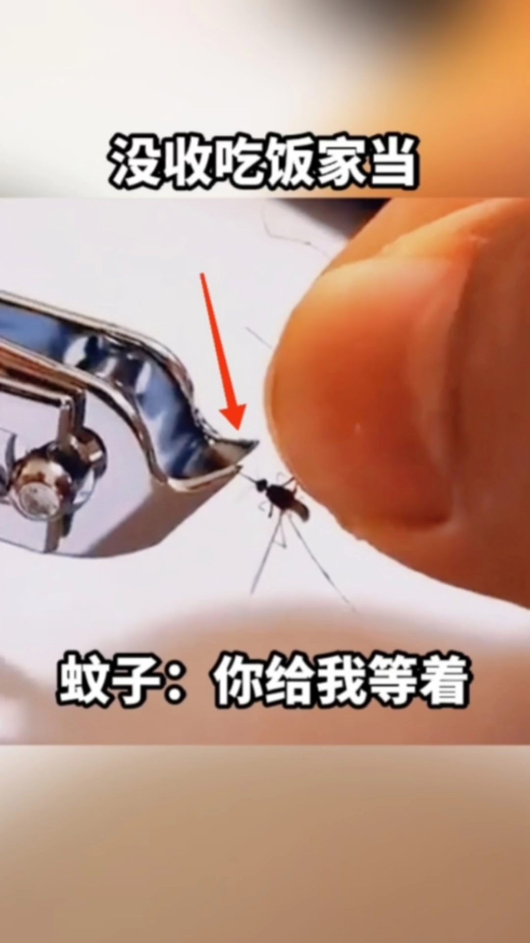 搞笑段子剧#没收吃饭家当,蚊子:你肝乙等着
