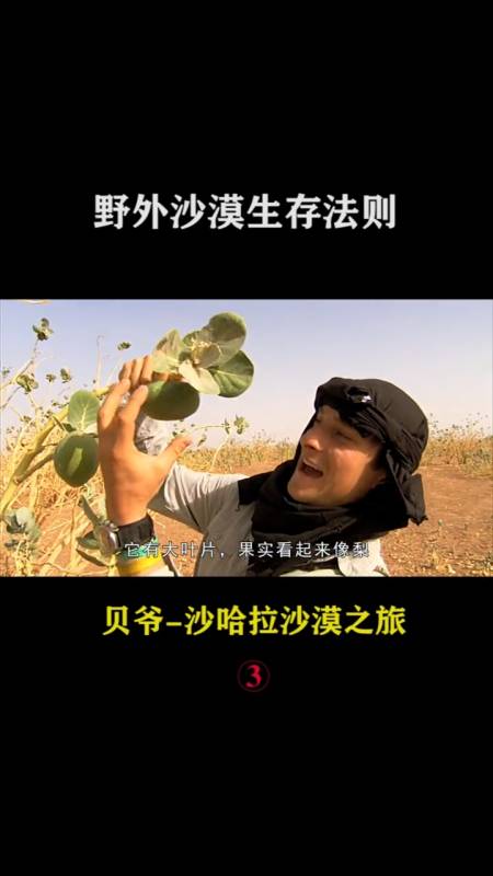 大冒险#贝爷版荒野求生:撒哈拉沙漠