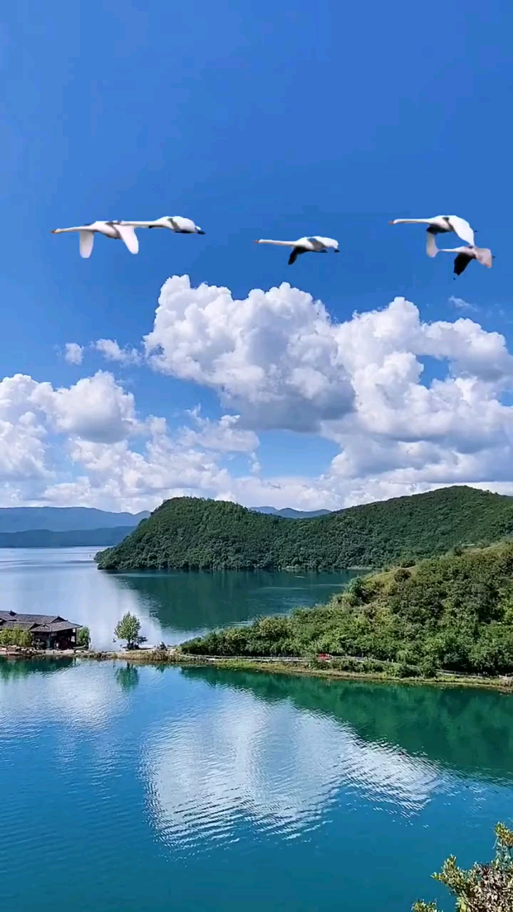 治愈系碧波荡漾清见底蓝色白云相互映一片悠静一片天人间烟火在此间