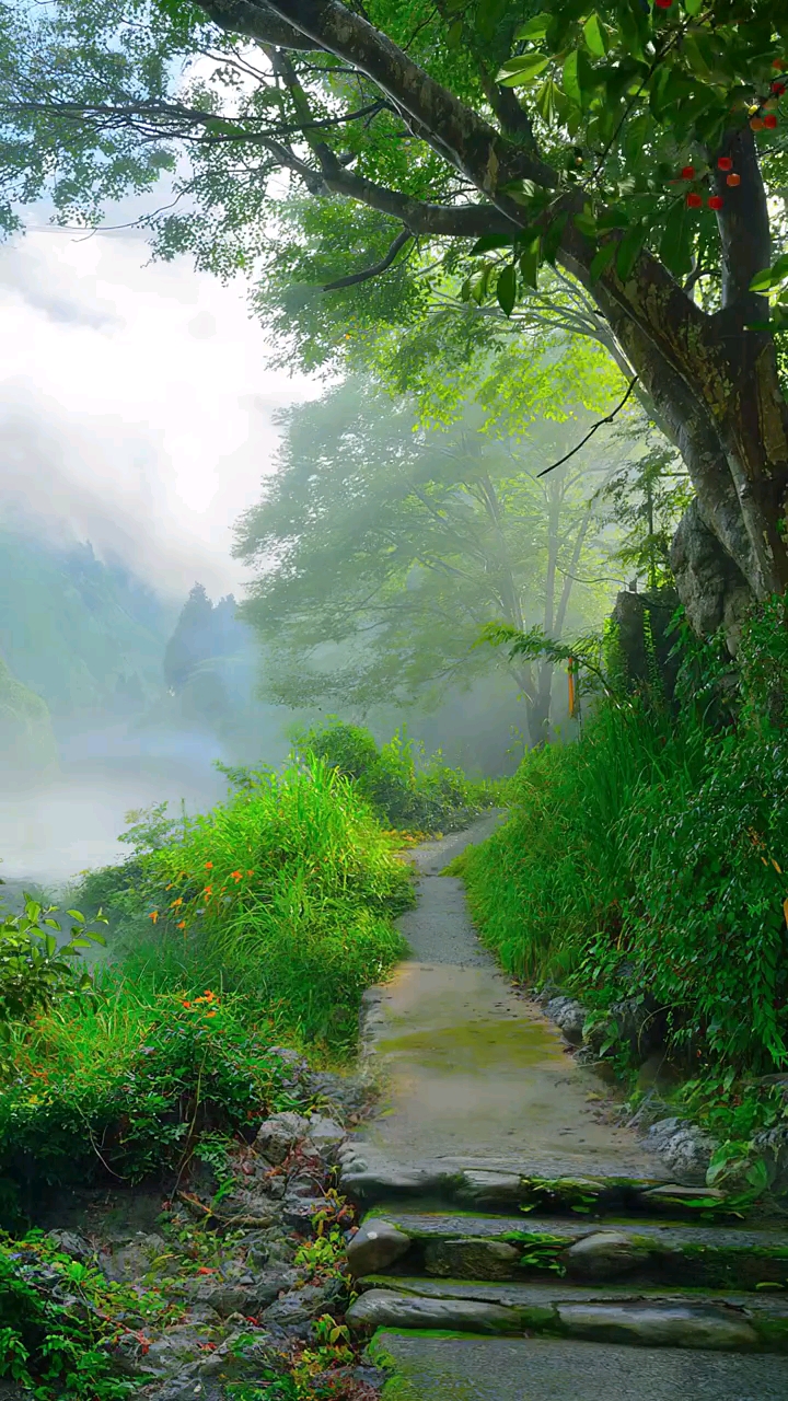 喜欢雨中或雨后漫步在小径上,亲近大自然的气息,闭上眼睛深呼吸,净化