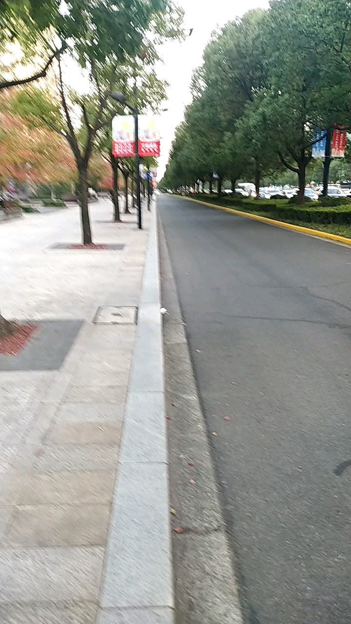 画面中就是上海浦东新区最气派,最漂亮的一条马路:世纪大道.