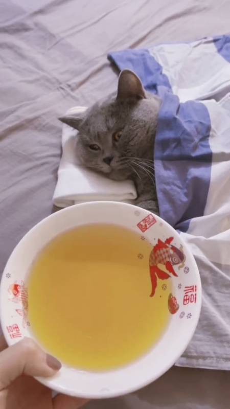 趁它睡觉寻思拍个大朗吃药的段子,为什么跟别人家的小宝贝不一样,太