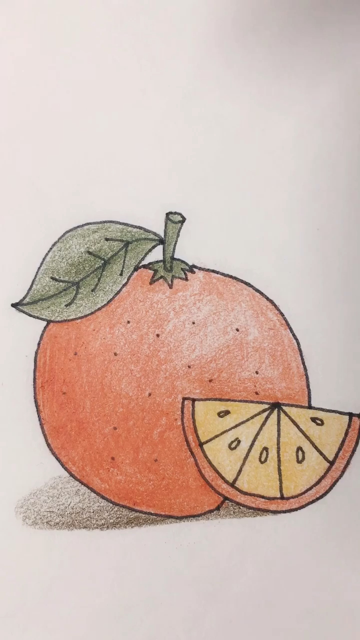 橘子简笔画儿童画图片