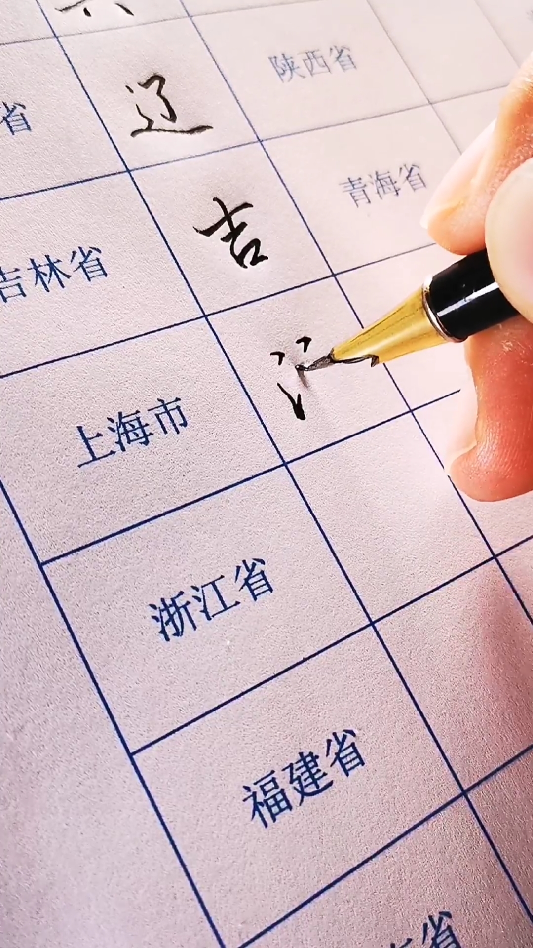 手写文字#看车牌识别省份!