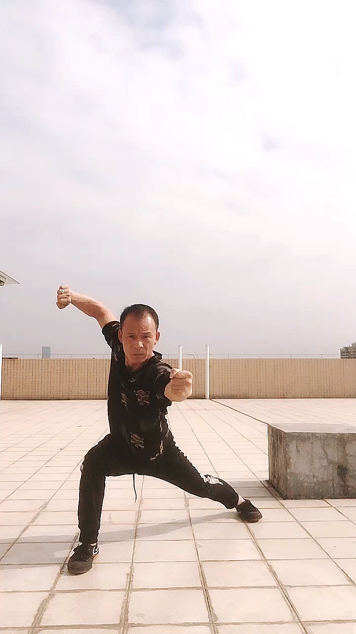 精武迷踪拳27式图片