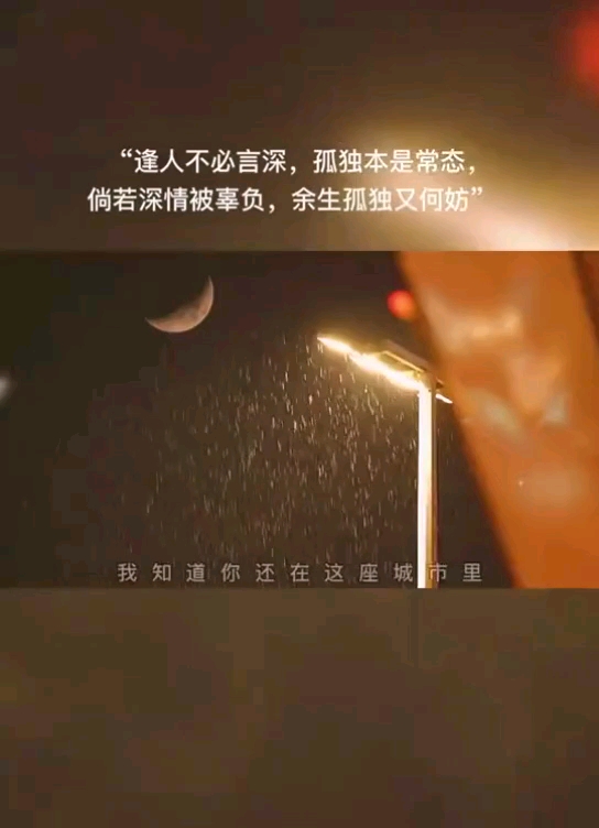 逢人不必言深,孤独本是常态