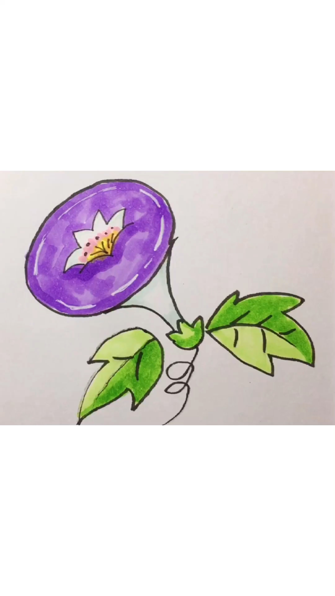 简笔画启蒙,教你学会画喇叭花,一花一天堂-全民小视频