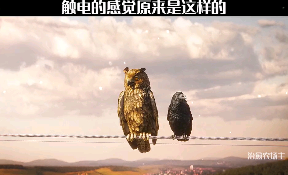 搞笑#触电的感觉原来是这样的