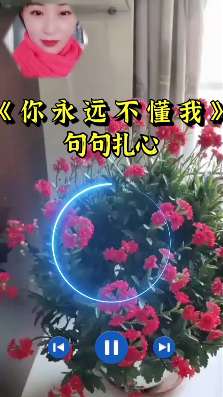 回家路上那些事#傷感歌曲,你永遠不懂我