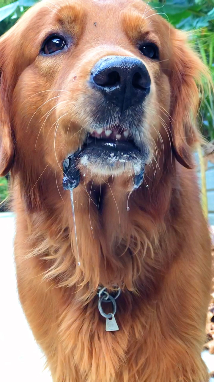 给你们表演个口水拉丝