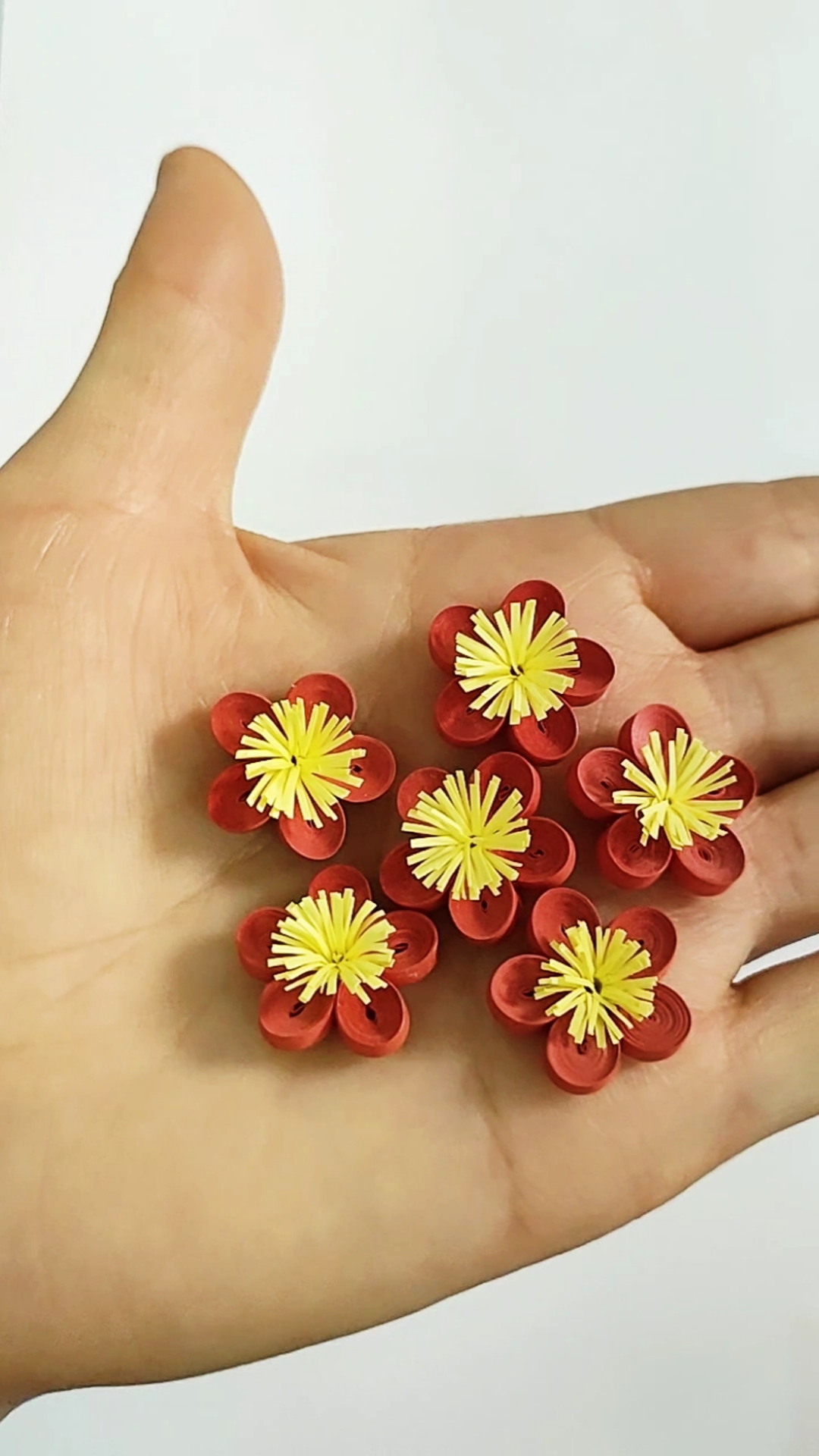 我的衍纸日记#衍纸梅花制作教程-度小视