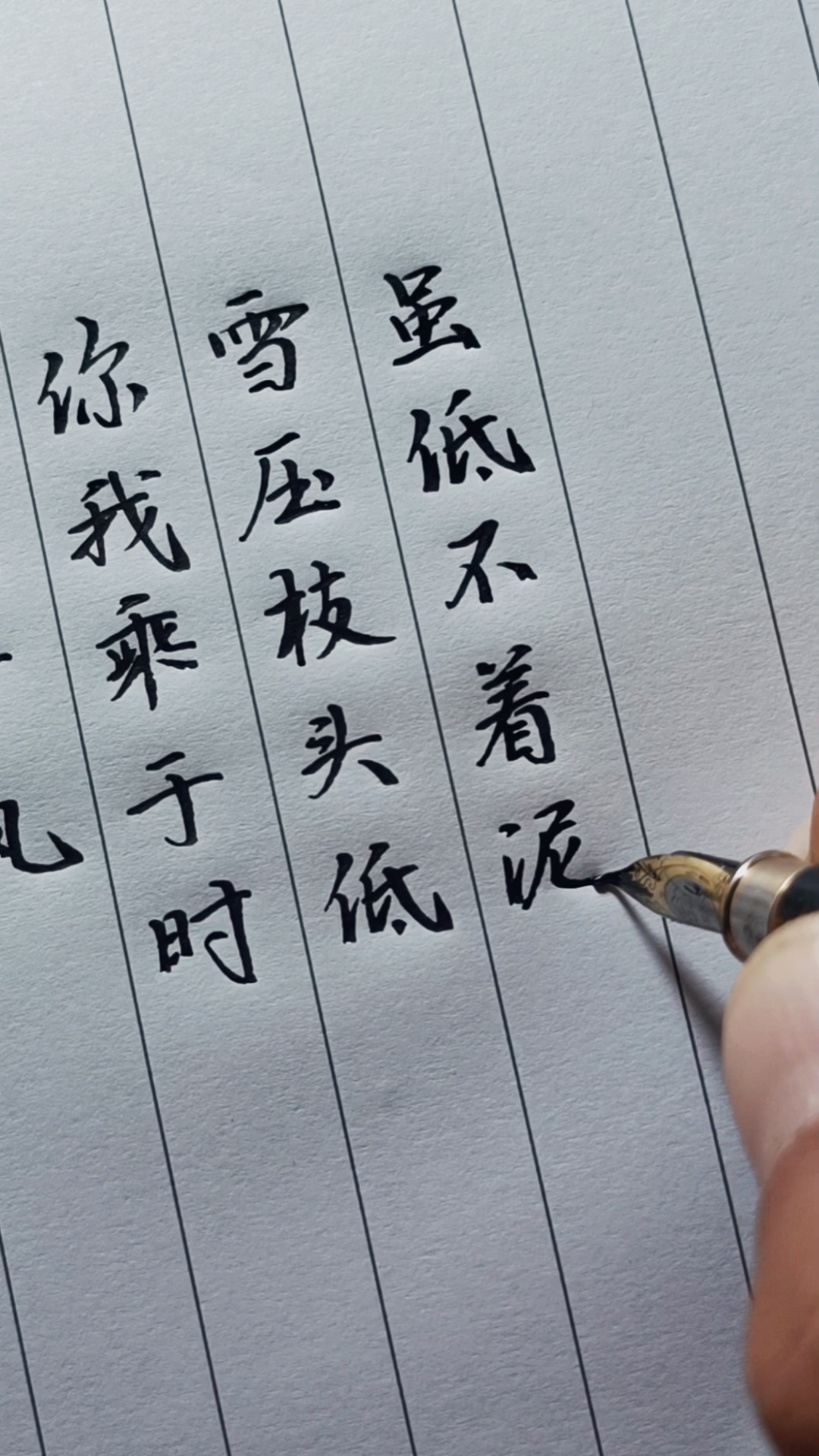 全民正能量#雪压枝头低,虽低不着泥,一朝红日出,依旧与天齐!