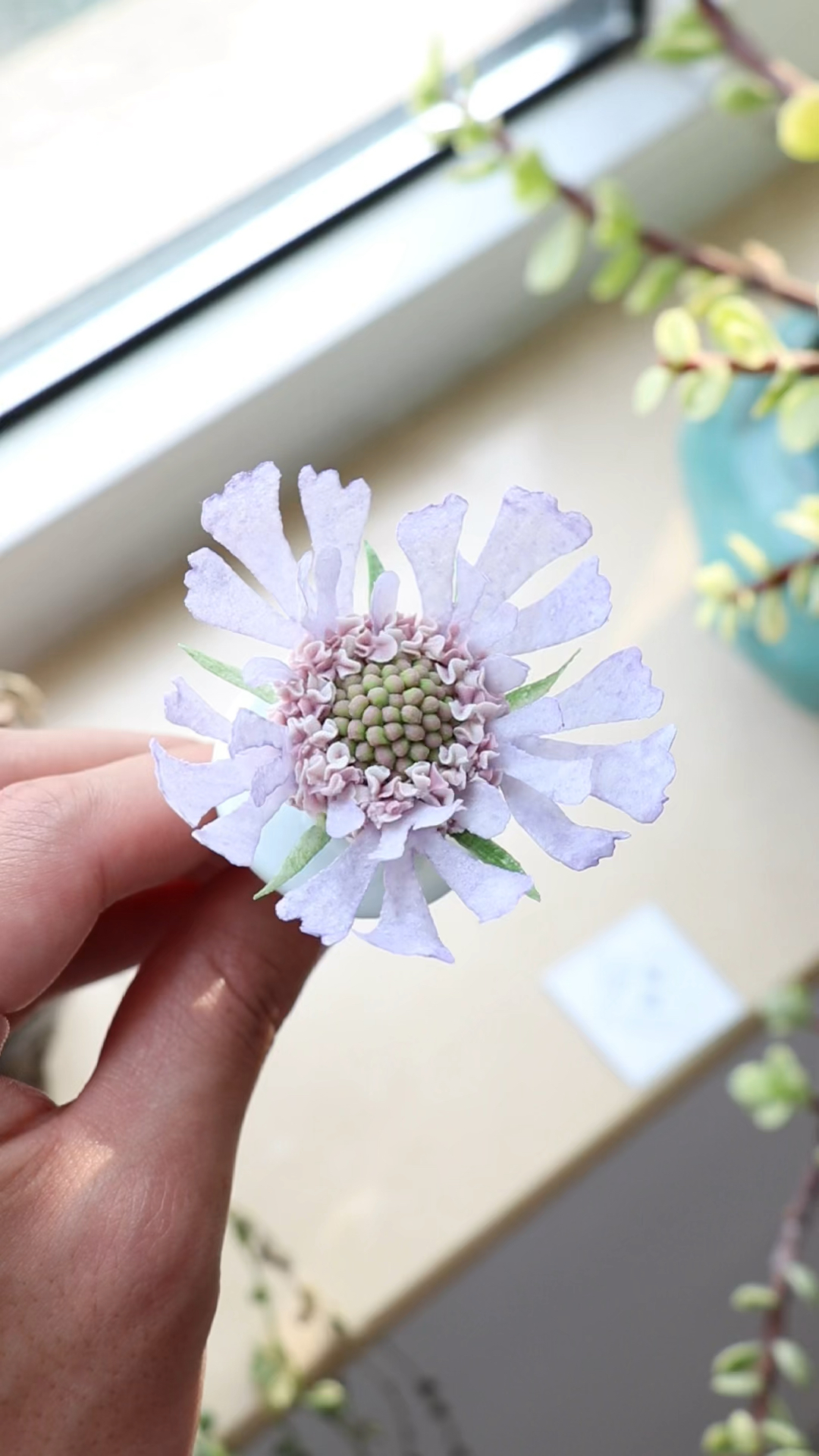 手工豆沙裱花蓝盆花糖纸花生日蛋糕甜品装饰零基础学生操作练习作品