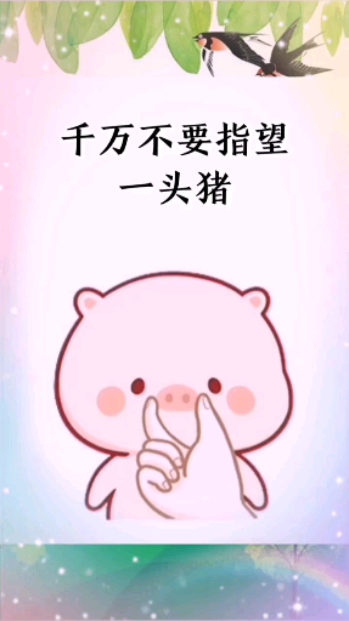 男生是猪,女生是书,千万不要指望一头猪读懂一本书