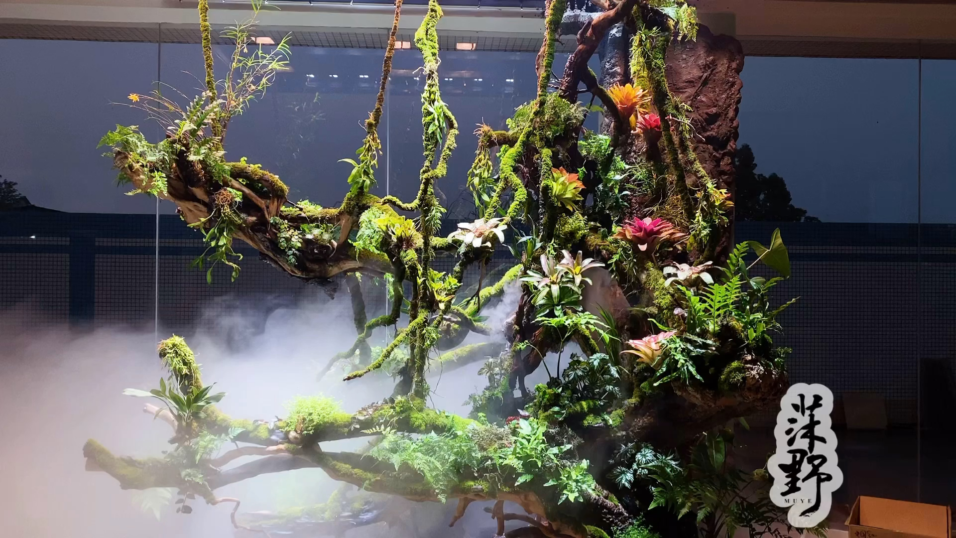 室内雨林景观.原创作品!