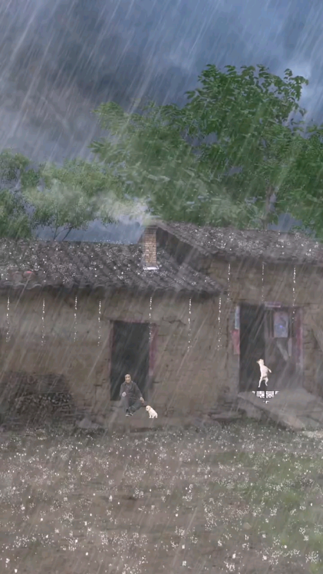 大雨的景色自然美暴雨不停的下雷电不停的闪老爷子坐门前看哗雨声小萌