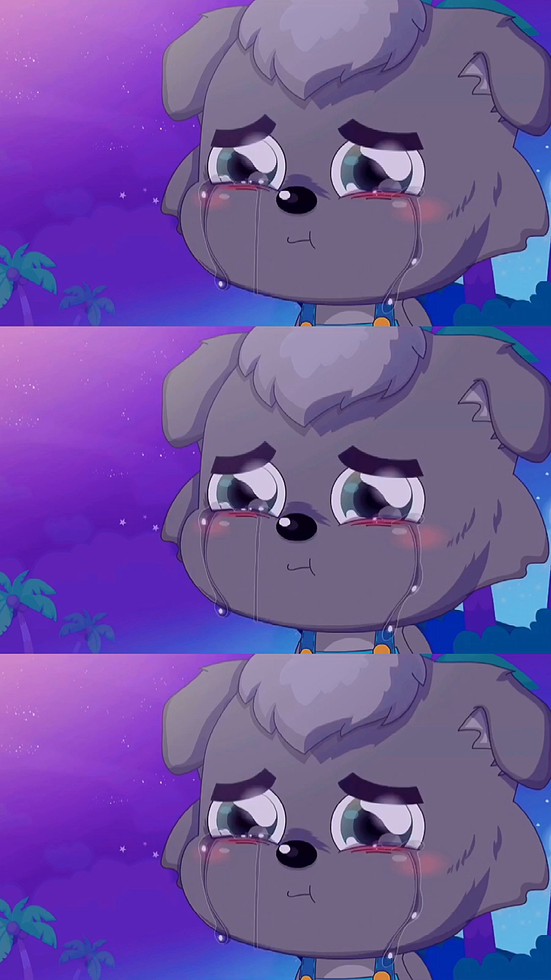 喜羊羊与灰太狼灰太狼执行任务几年未回家小灰灰等的悲痛欲绝下集