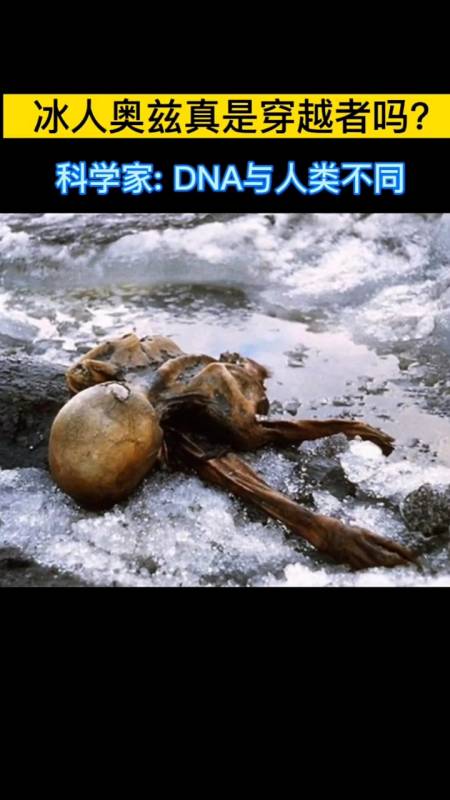 发现的冰人奥兹dna与人类不同,应是5300年前,人类还在石器时代可他