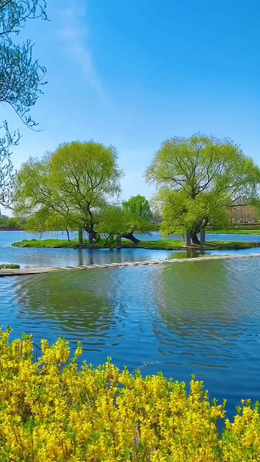 天蓝水绿阳光艳,春风拂柳舞翩翩.美景有毒迷住眼,一切美好在人间.