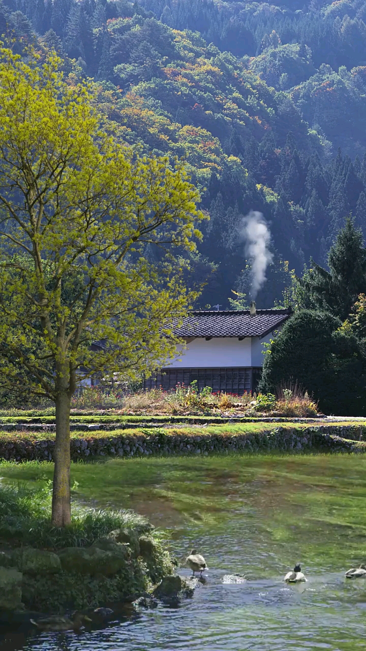 田园生活#红尘一醉,愿得一人心.烟火夫妻,白首不相离.